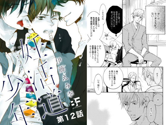妊活道少年（分冊版） 第12話