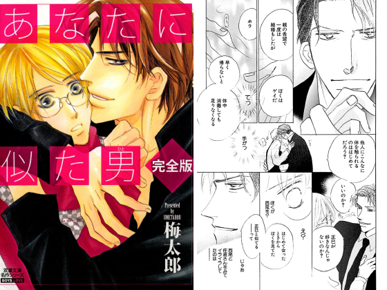 あなたに似た男 完全版 分冊版 ： 2