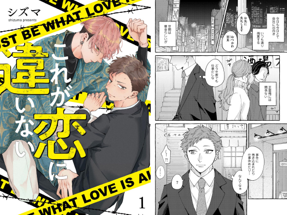 これが恋に違いない（分冊版） 【第1話】
