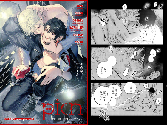 comic picn vol.51