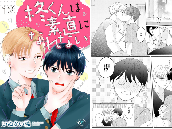 柊くんは素直になれない（分冊版） 【第12話】
