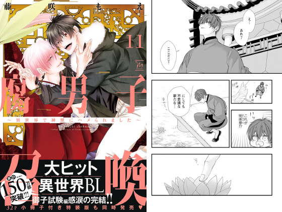 腐男子召喚～異世界で神獣にハメられました～ ： 11 【特別描き下ろし漫画付き】
