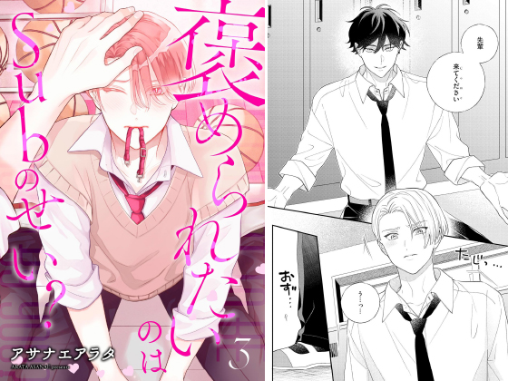 褒められたいのはSubのせい？（分冊版） 【第3話】