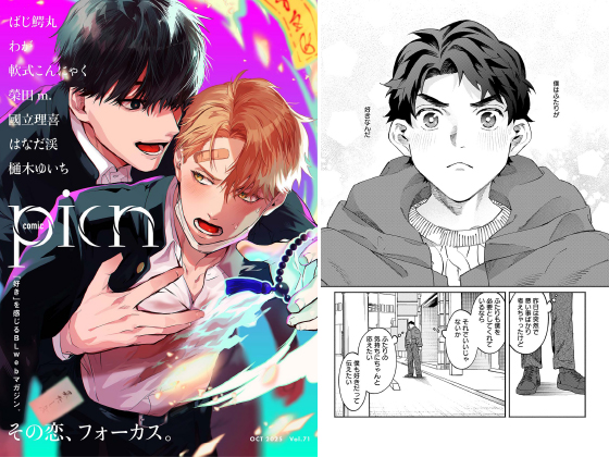 comic picn vol.71