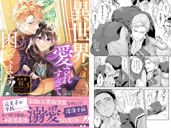 異世界で愛されすぎて困ってます!異世界BLアンソロジー : 3