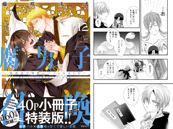 腐男子召喚～異世界で神獣にハメられました～ ： 12 【描き下ろし40p小冊子ボイス付き特装版】