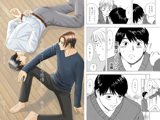 その向こうにある感情 6