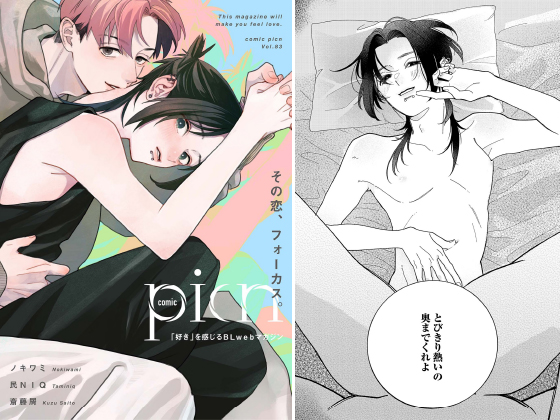 comic picn vol.83