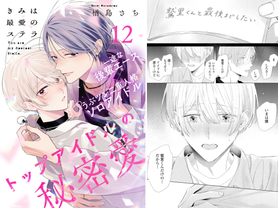 きみは最愛のステラ(12)