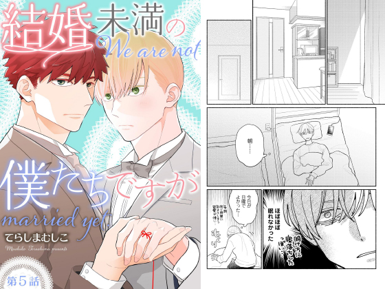 結婚未満の僕たちですが（分冊版） 【第5話】