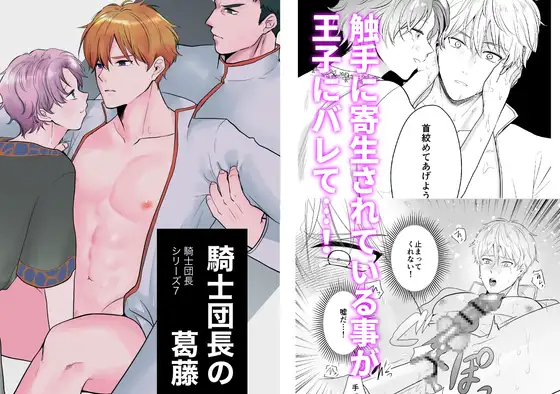 騎士団長の葛藤