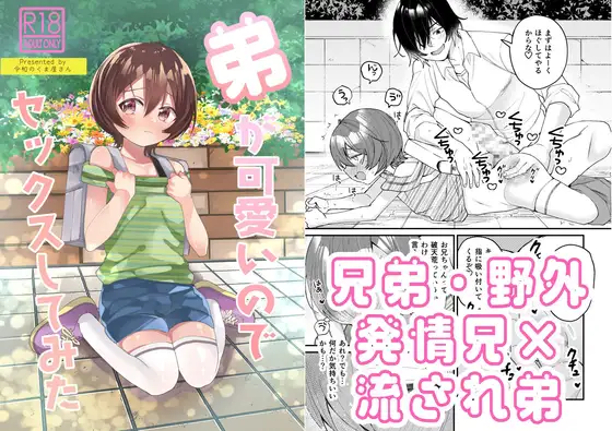 弟が可愛いのでセックスしてみた