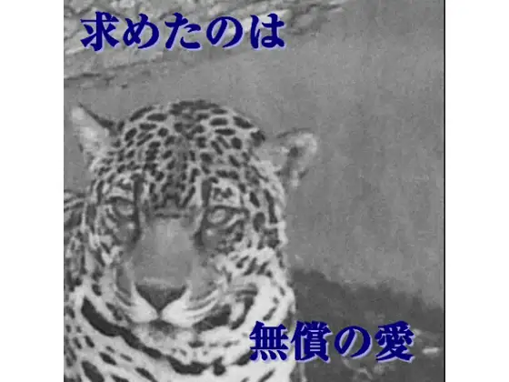 生徒会執行部～過去編～