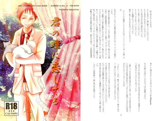 君の瞳に恋してる