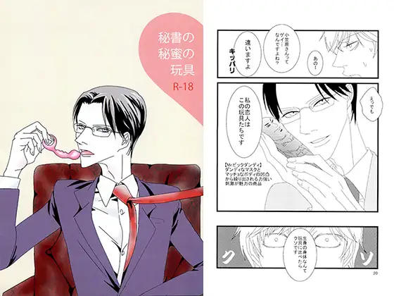 秘書の秘蜜の玩具
