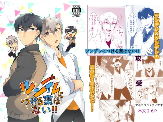 ツンデレにつける薬はない!!