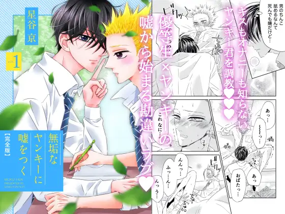 無垢なヤンキーに嘘をつく 完全版 VOL.1